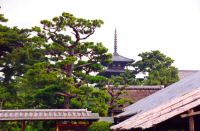 japon (186).jpg